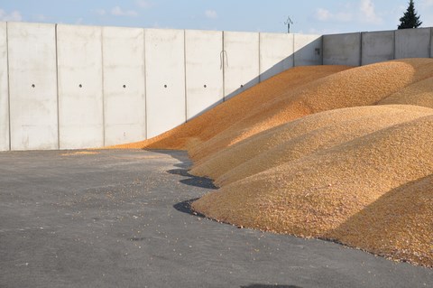 Construction de casiers de stockage pour le compte d'une coopérative agricole